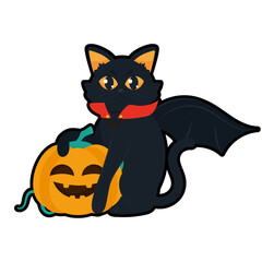 Feline and Orange Gourd Still Life | Animal Photography