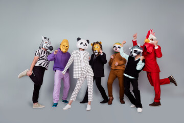 Full size photo of zebra gorilla raccoon lion panda sloth rooster mask people chill dance isolated...