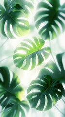 bright green leaves of exotic plant in sunlight, background
