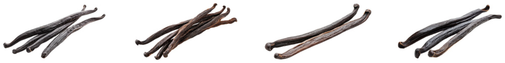 Fototapeta premium Variety of vanilla beans. Set of png on transparent background