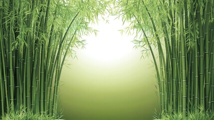 Fototapeta premium A serene bamboo forest background with soft lighting.
