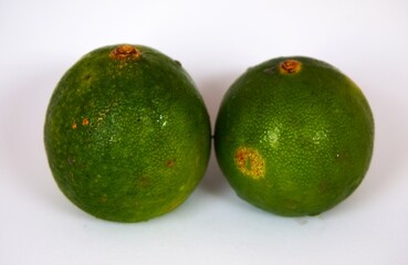 photo of fresh green lime, on white background