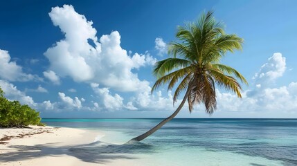 Obraz premium Cruise To Caribbean With Palm tree On Coral Beach. 