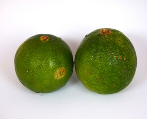 photo of fresh green lime, on white background