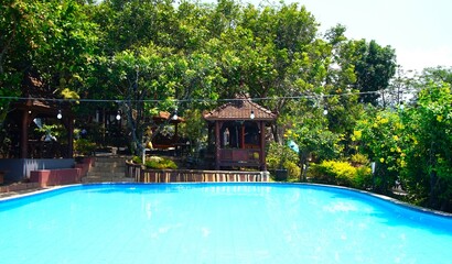 photo of swimming pool and garden with hut