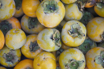 A Beautiful Variety of Yellow Persimmons Displayed Together for Everyone to Enjoy