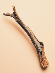Fototapeta premium A rustic piece of driftwood on a soft, neutral background.