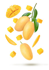 Ripe yellow mango with slice isolated on white