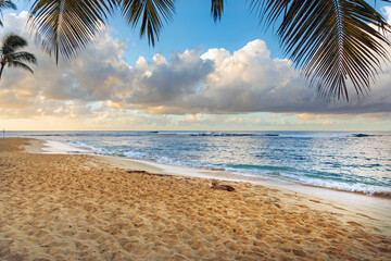 Beautiful tropical beach with palm trees at sunset.