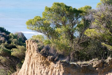 Coastal Landscape from Cathedral Gully Viewpoint, Gore Bay: Scenic New Zealand Coastline