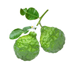 Obraz premium Bergamot fruit on white