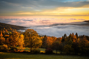 Beautiful landscape in autumn with ground fog in the valley at sunset in Bavarian Forest