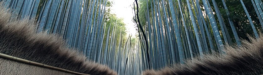 Fototapeta premium Serene bamboo forest path leading to a bright sky.