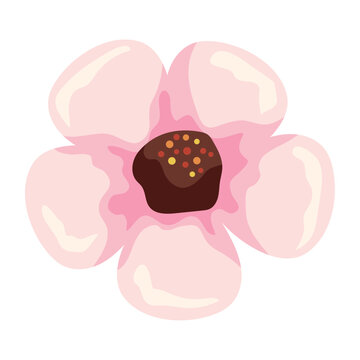flower nature petals