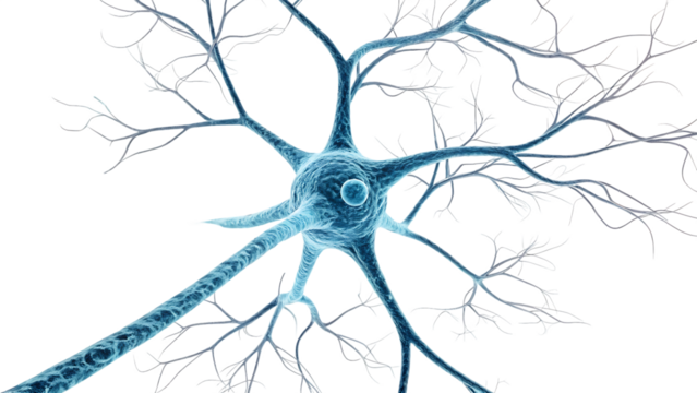 Brain neuron isolated on white background as transparent. PNG. AI GENERATED. - Powered by Adobe