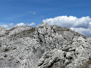 Limestone rocks on southern Velebit, Jasenice (Velebit Nature Park, Croatia) - Kalksteinfelsen im südlichen Velebit (Naturpark Velebit, Kroatien) - Vapnenake stijene na južnom Velebitu (Hrvatska)