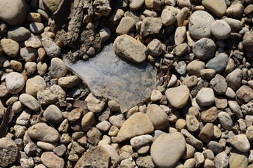 Broken glass shard laying on rocks