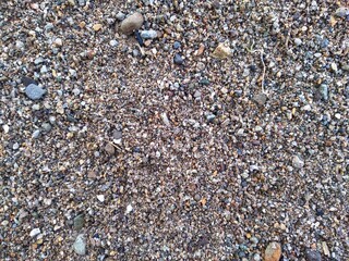 Texture of dry sand on the beach. Dry beige sand. Light fine grain sand texture background. Sand close-up.