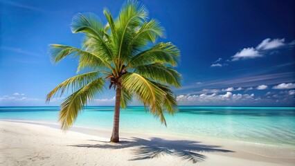 A single palm tree on a sandy white beach with crystal clear turquoise water in the background, palm fronds, island, blue, paradise