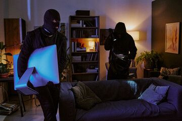 Two crime partners thieving electrical gadget in dimly lit living room working in silence