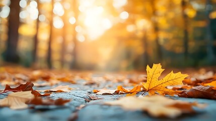 Scenic autumn forest path with golden sun dappled leaves covering the ground and an empty space on the right for text or logo overlay  Peaceful tranquil nature landscape in the fall season