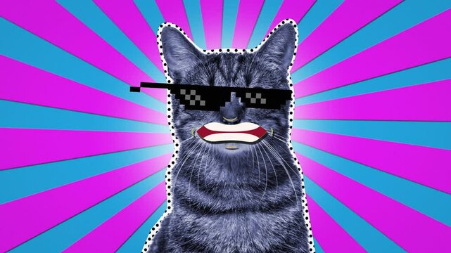 A retro cat in sunglasses shoots lasers out of his eyes. Power beams to fight evil. Disco animation for VJ. Contemporary minimal motion art. Neon background