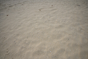 Footprints vanish into the ocean waves on a sandy beach under the summer sun