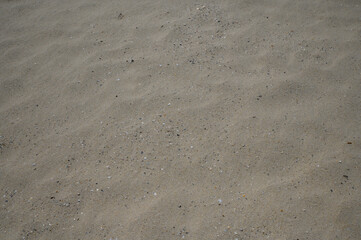 Footprints etched in the sand, a testament to a solitary journey along the sun-kissed shoreFootprints etched in the sand, a testament to a solitary journey along the sun-kissed shore