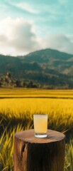 Obraz premium Tranquil Rice Field with Drink on Wooden Post Against Mountain Backdrop