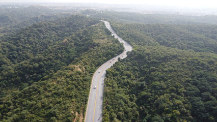 Smoky Forest Road with Traffic, A foggy day captures a forest road with cars moving through the haze, creating a moody, atmospheric scene.