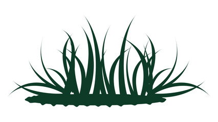 grass isolated on white