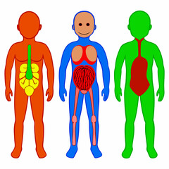 Pregnancy icon. Simple outline style. Pregnant woman, maternal, lady, fertility, mom, baby, mother, gynecology, health concept. Thin line symbol. Vector illustration isolated. 