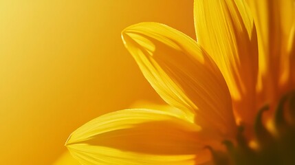 Obraz premium A close-up view of a sunflower petal against a warm yellow background, showcasing its vibrant color and delicate texture.