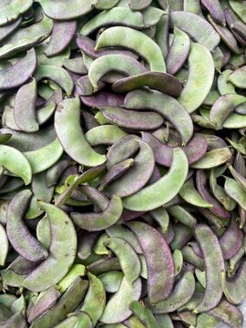 freash creeper flat beans.this photo was taken from Bangladesh.