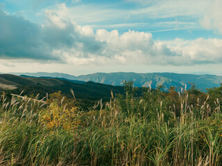 青空の下のすすきと秋の自然風景　徳島県　塩塚高原