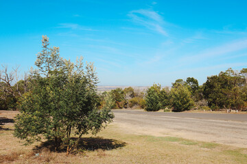 country road through australian bushland landscape in you yangs national park