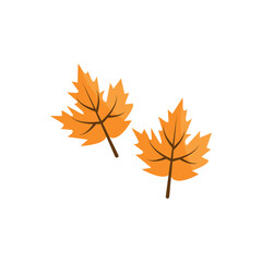 Autumn  leaf icon illustration flat