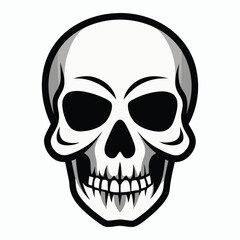 vector skull on white background