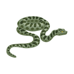 vector drawing snake, green anaconda , Eunectes murinus, isolated at white background, hand drawn illustration