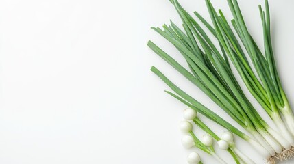 Fresh green spring onions against a pristine white backdrop
