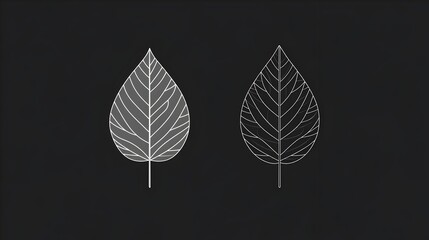 Obraz premium Minimalist Monochrome Leaf Icon for Nature,Botany,and Graphic Design