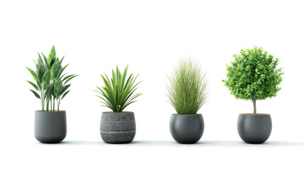 Fototapeta premium Beautiful Collection of Potted Plants Arranged on a White Background Generative AI