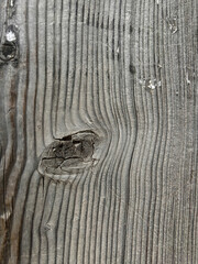 The door is made of wood and has a metal latch