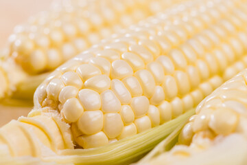 Fresh raw corn cob pattern close up