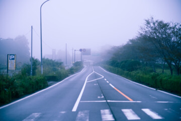 霧がかった早朝の道