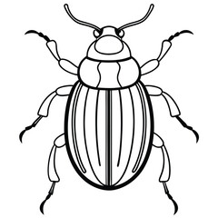 beetle vector illustration black and white 