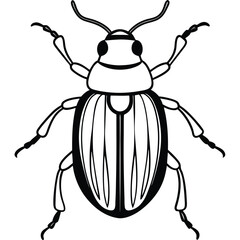 beetle vector illustration black and white 