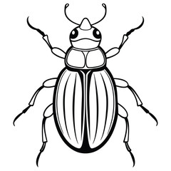 beetle vector illustration black and white 