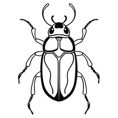 beetle vector illustration black and white 