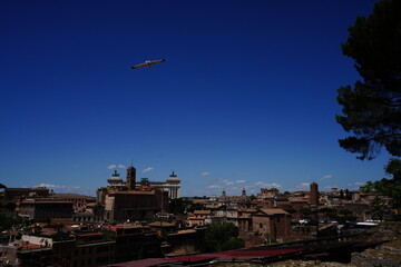 Seagull flying towards Rome
